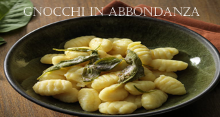 2023gnocchi